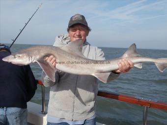 17 lb 2 oz Starry Smooth-hound by Tony Newman