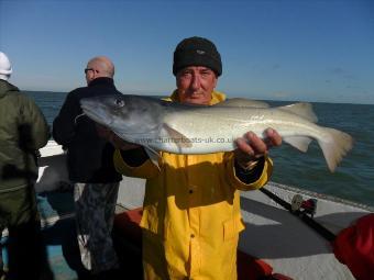 8 lb 6 oz Cod by Dave