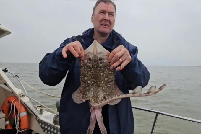 5 lb 3 oz Thornback Ray by Brian