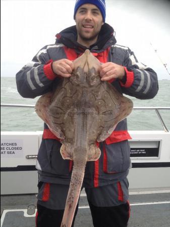 18 lb Undulate Ray by Unknown