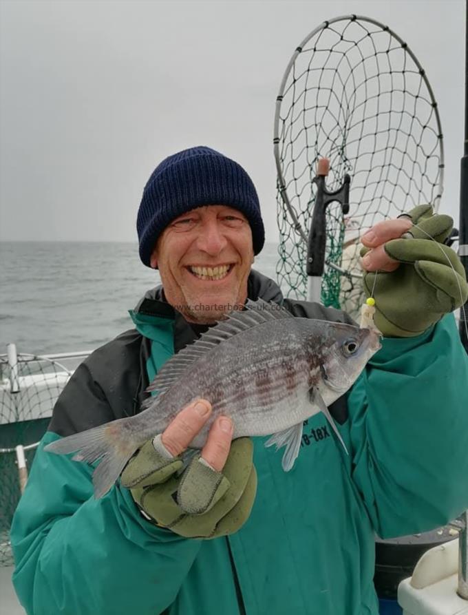 1 lb Black Sea Bream by Andy