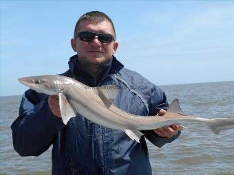 4 lb 5 oz Smooth-hound by AJ