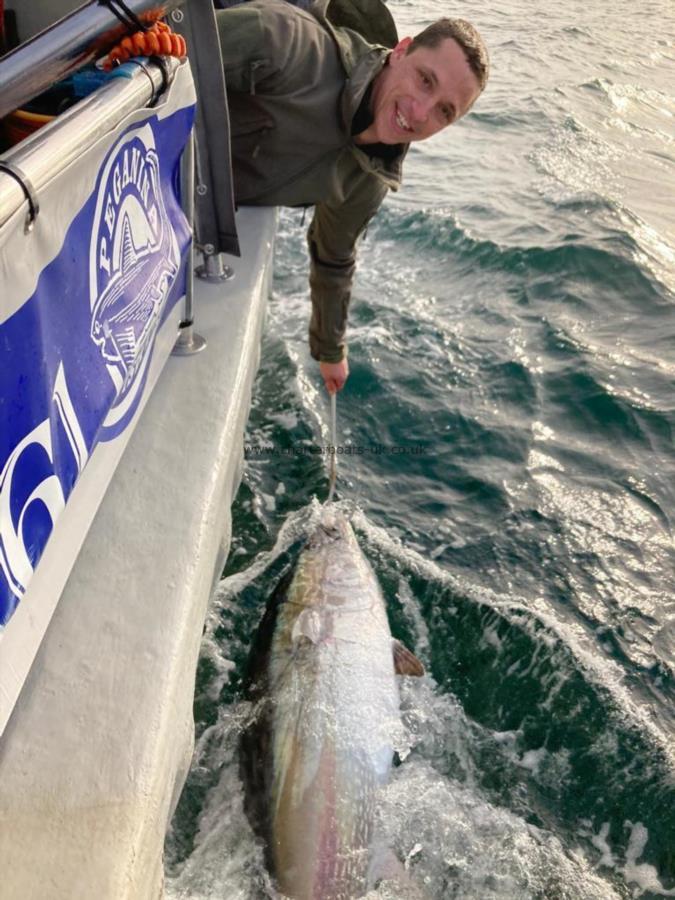 1 Kg Bluefin Tuna by Unknown