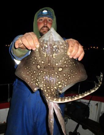 5 lb Thornback Ray by Tim Smith Gosling