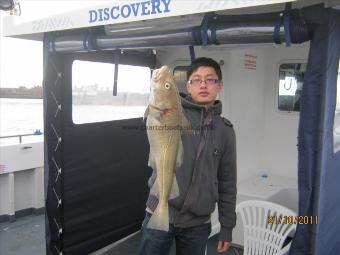 6 lb 2 oz Cod by Unknown