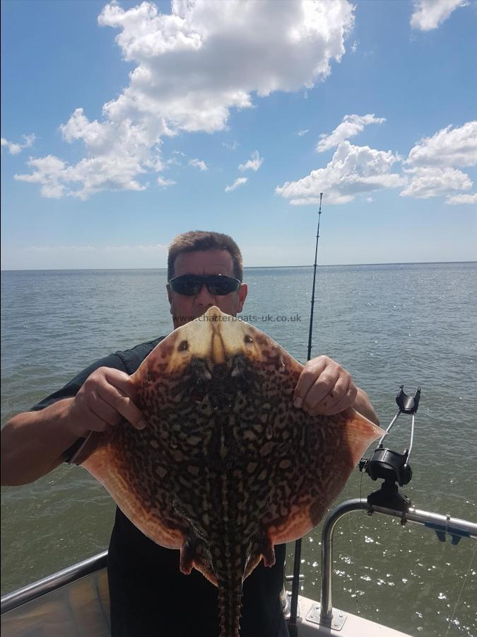 5 lb Thornback Ray by Snowy