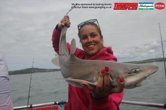 8 lb Starry Smooth-hound by Sdeff