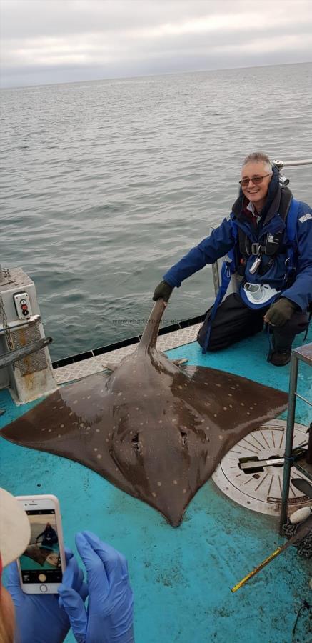 177 lb Common Skate by Unknown