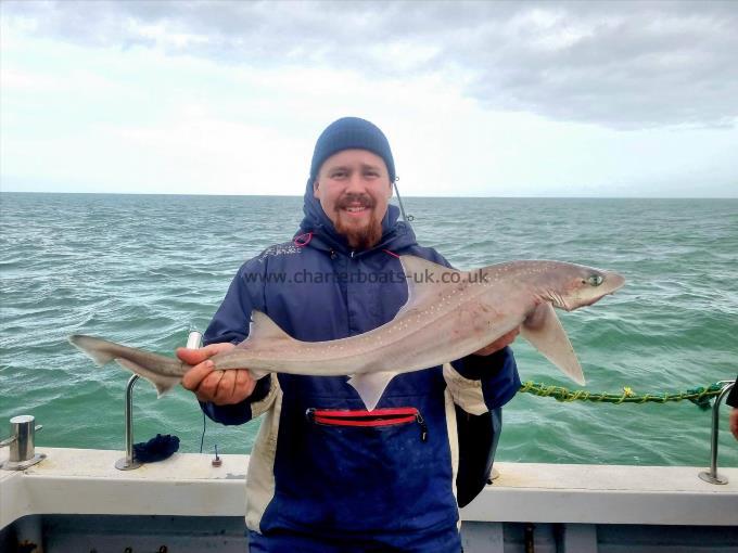 7 lb Smooth-hound (Common) by Thomas