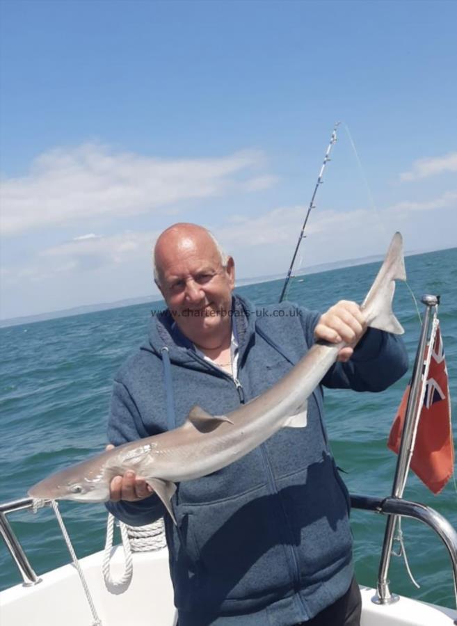 7 lb Smooth-hound (Common) by Carl