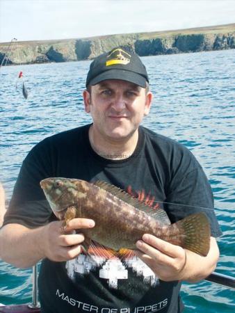 3 lb Ballan Wrasse by Pete H