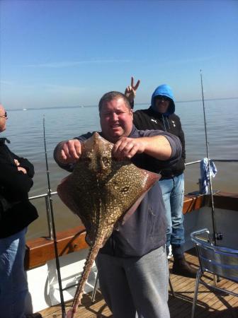 12 lb Thornback Ray by Unknown