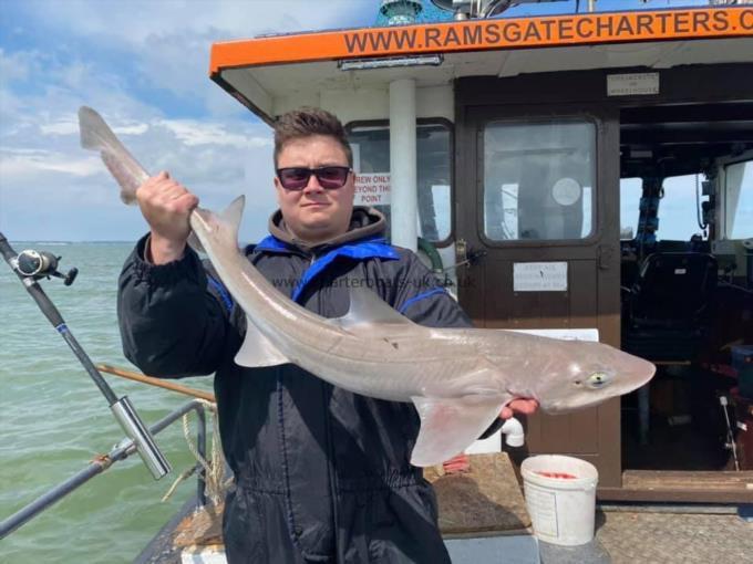 12 lb Smooth-hound (Common) by Unknown