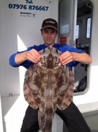 12 lb Undulate Ray by Ryan Casey