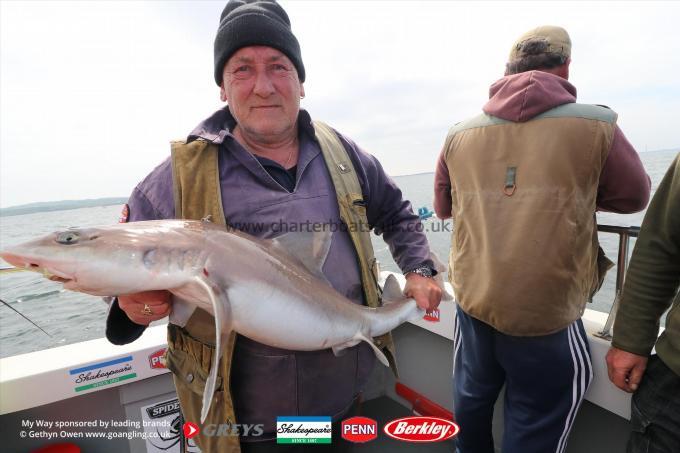 14 lb Starry Smooth-hound by Parky