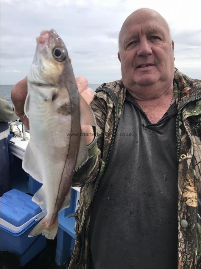 1 lb Haddock by Mick from dewsbury haddock catching