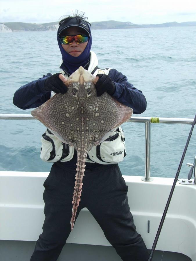 6 lb 12 oz Thornback Ray by Joe