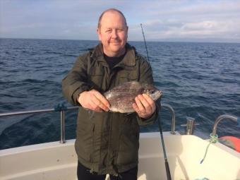 2 lb 5 oz Black Sea Bream by Unknown