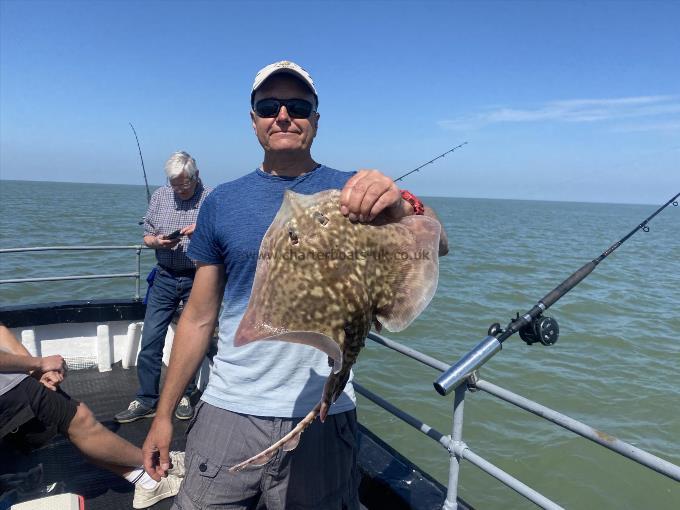 5 lb Thornback Ray by Unknown