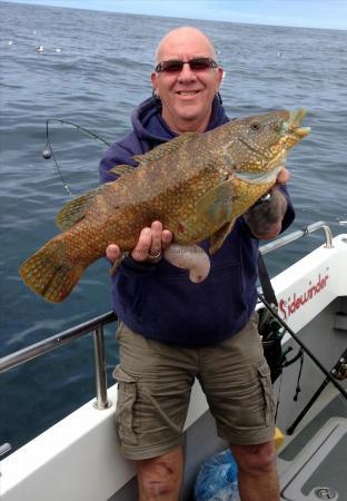 9 lb 1 oz Ballan Wrasse by Unknown