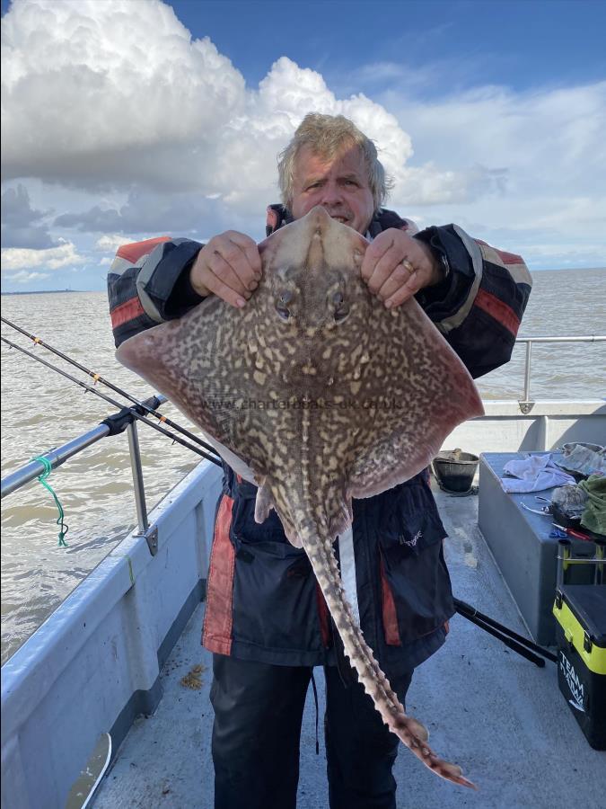 9 lb 2 oz Thornback Ray by Unknown