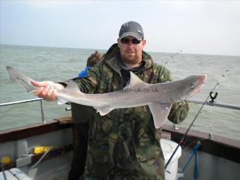 8 lb Starry Smooth-hound by Chin Chin Christian