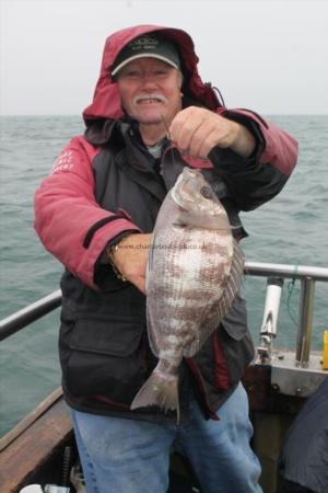 3 lb 8 oz Black Sea Bream by Unknown