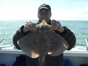 6 lb Thornback Ray by Bromley Dave