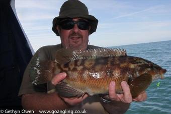 2 lb Ballan Wrasse by Brian