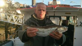 3 lb 5 oz Whiting by Unknown