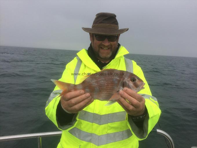 1 lb 8 oz Couch's Sea Bream by Colin Johnson