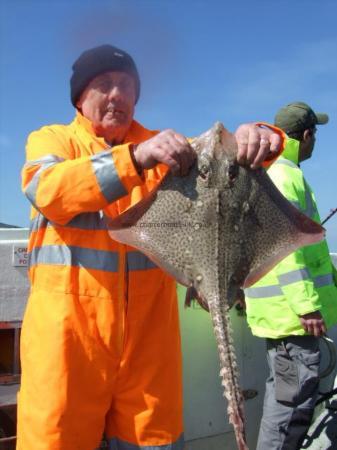 10 lb Thornback Ray by Unknown