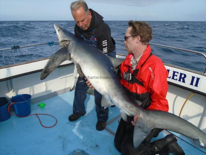 130 lb Blue Shark by Steve Aldridge