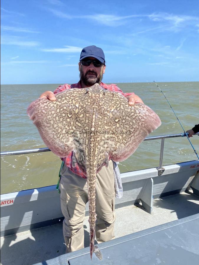 16 lb 7 oz Thornback Ray by Unknown