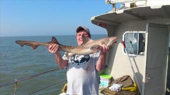 12 lb 8 oz Smooth-hound (Common) by robin tarr