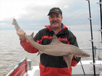 7 lb 5 oz Starry Smooth-hound by Paul Layton