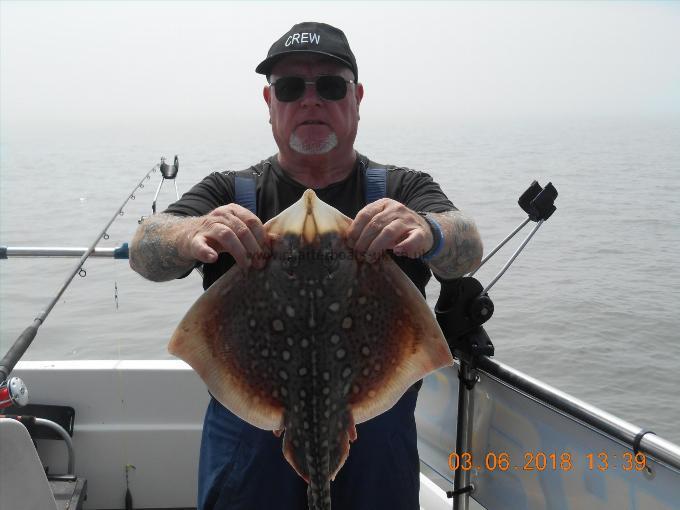 5 lb Thornback Ray by Dave Jones