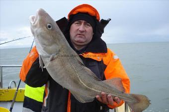 11 lb 8 oz Cod by auggi