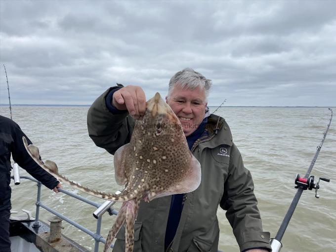 5 lb Thornback Ray by Unknown