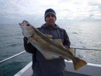 15 lb 8 oz Pollock by John Burt