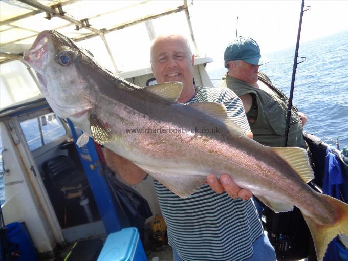 14 lb 2 oz Pollock by one of many caught by gary