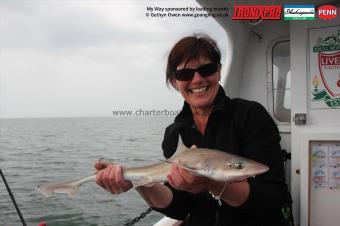 5 lb Starry Smooth-hound by Heather