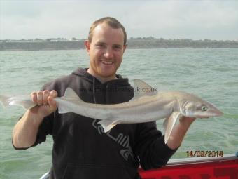 6 lb 5 oz Smooth-hound (Common) by Ted