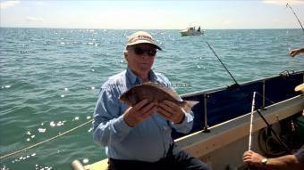 2 lb 8 oz Black Sea Bream by Stephen Wake