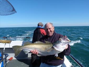 12 lb Pollock by ray baldwwin