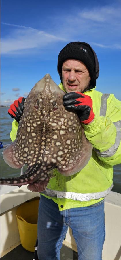 7 lb Thornback Ray by Andy