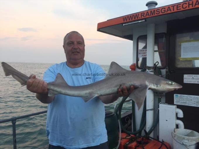 7 lb Smooth-hound by Unknown