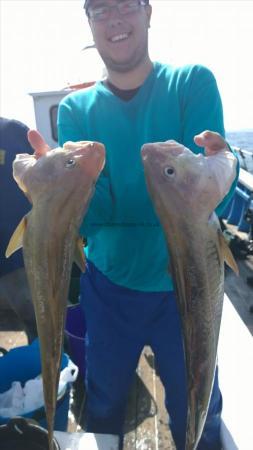 8 lb Cod by alex from stockport 2nd aug