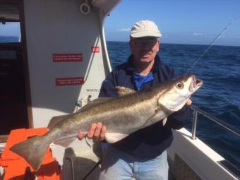 11 lb Pollock by Howard Finch