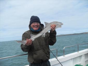 8 lb Starry Smooth-hound by Unknown